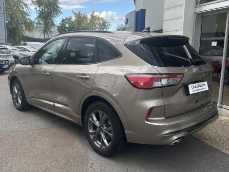 FORD Kuga 2.0 EcoBlue 150ch mHEV ST-Line X à vendre à Auxerre - Image n°7