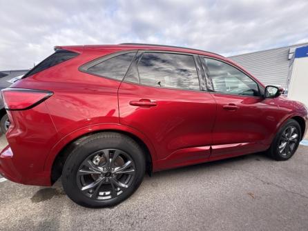 FORD Kuga 2.0 EcoBlue 120 ch ST-Line X BVA à vendre à Troyes - Image n°4
